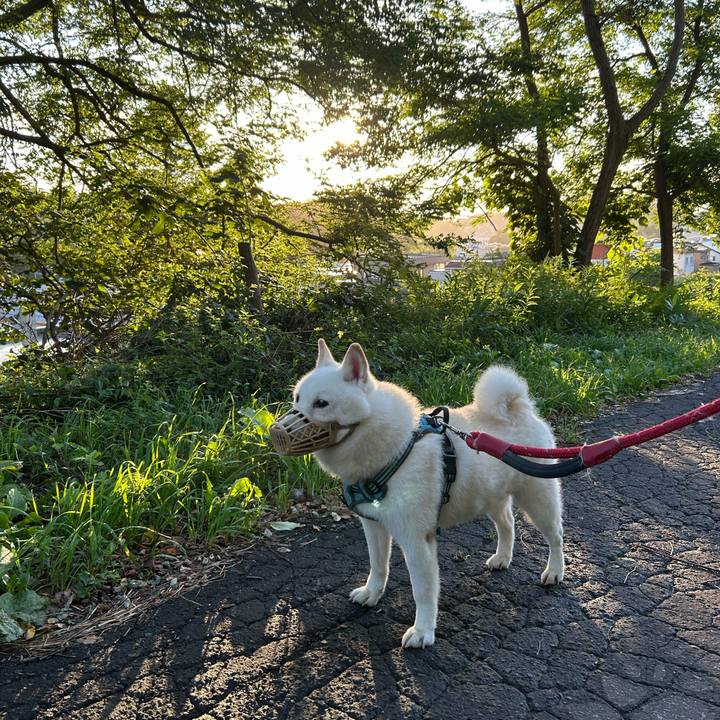 F04a7a49 d0b8 46a5 977e d61dec7fe5cd 1756328075786