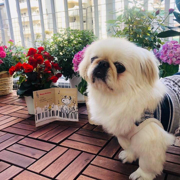 F04a7e49 b0b4 45a2 aa58 2ead20425be4 1561030344519