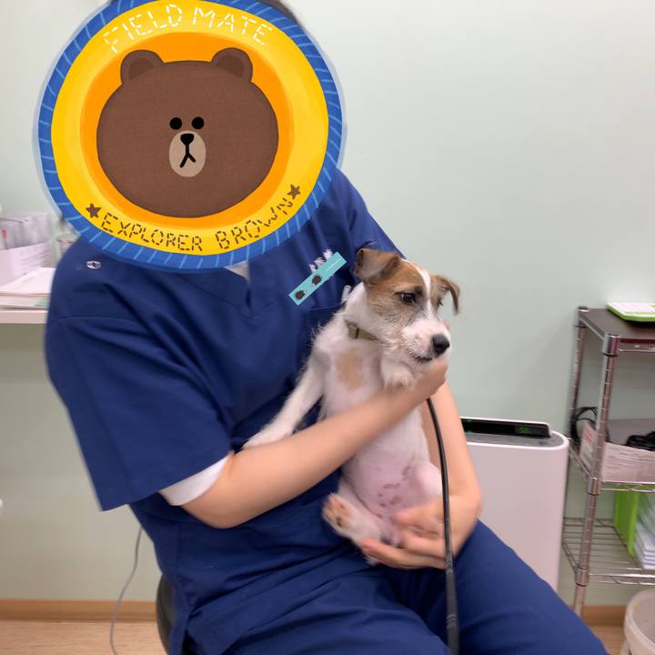 F04a7f88 d4b1 448e 9014 f3b3adb675da 1561888186666