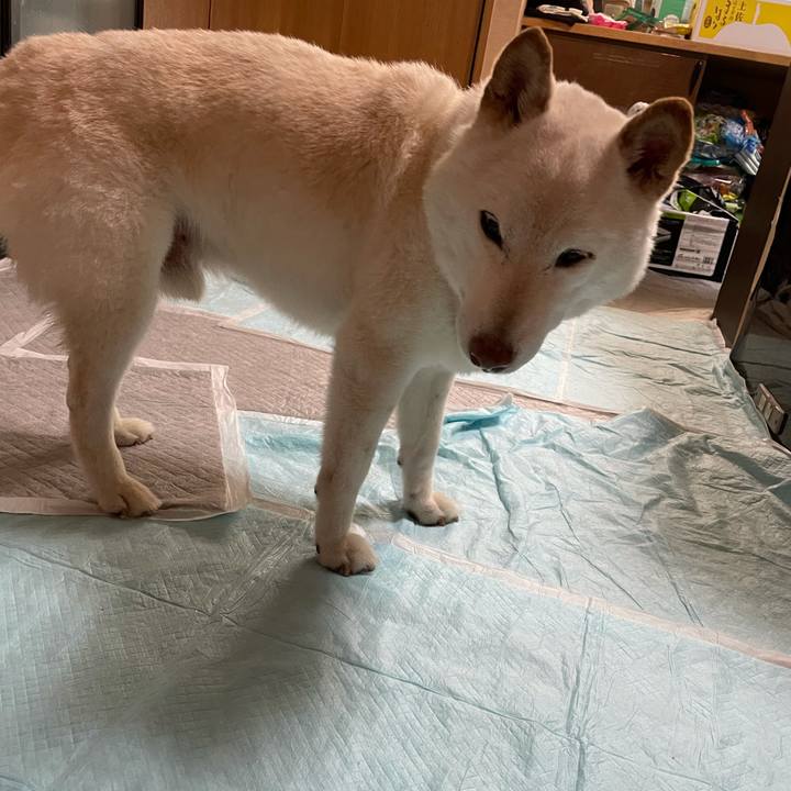 F04a8eec affb 45f2 ac86 a578ad67ce6d 1634181663486