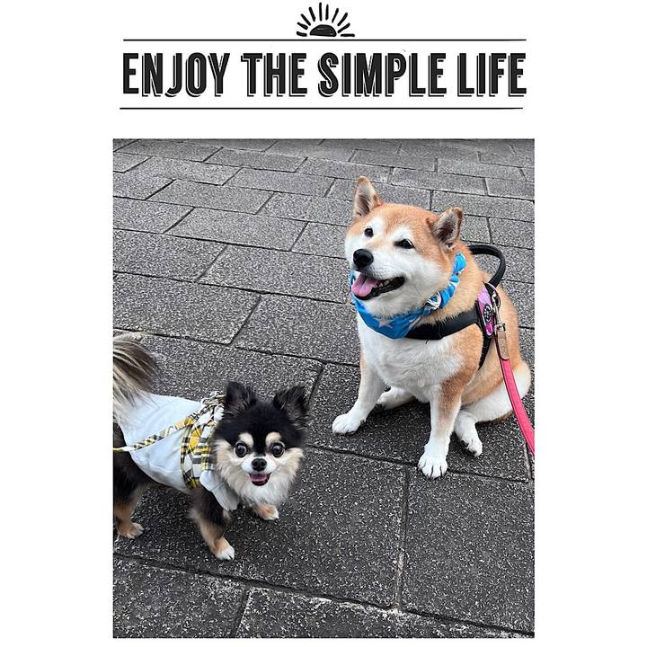 F04aaa5b cbde 4de2 9991 c0690713ef0f 1691147561569