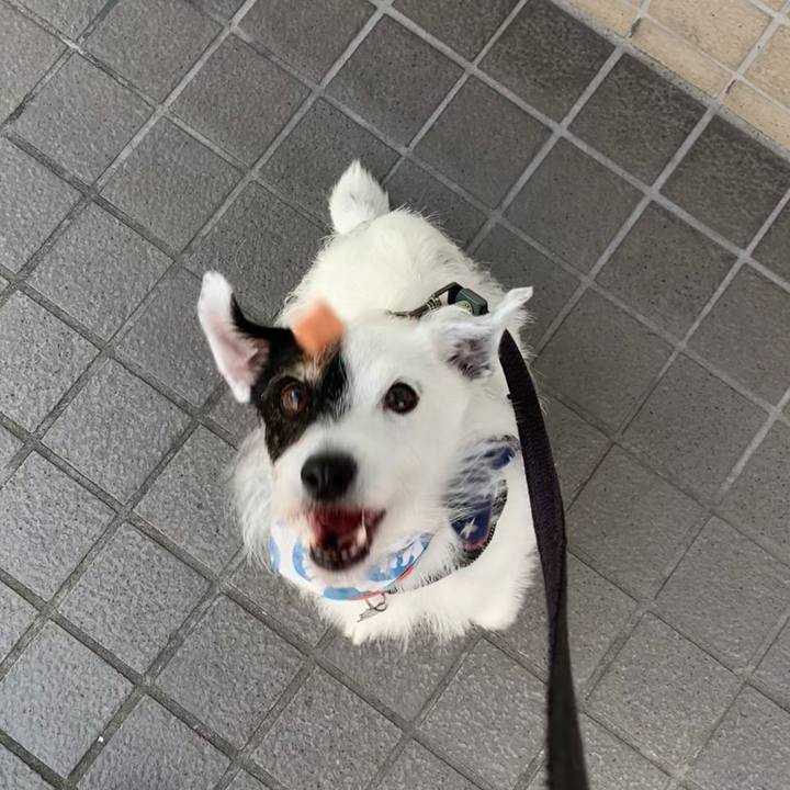 F04ab385 fb8f 4746 9369 f5b7ef5ed5d6 1721344585967