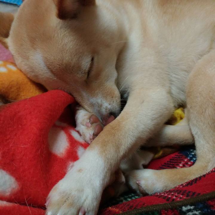 F04abb81 9050 4a51 980b f4487471310d 1516710401462