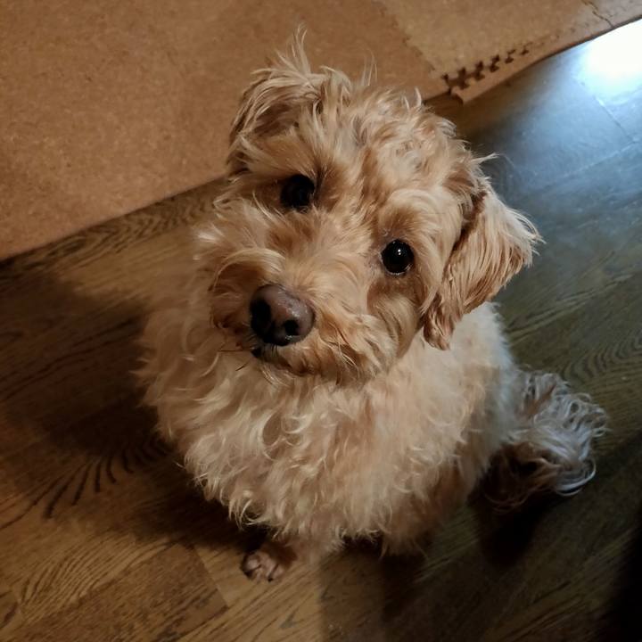 F04adef5 9fd1 4010 ae77 e19c7ffe0093 1608671616870