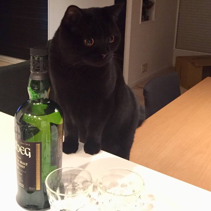 F04b0afc 17fb 42e4 b0da de0cd7dbe841 1541252809544