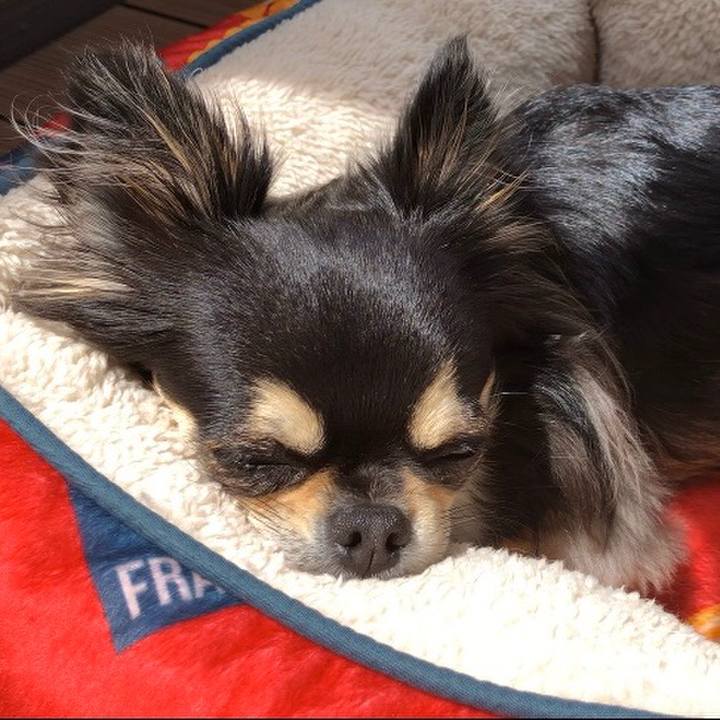 F04b1d8f 6e8e 4de9 abde 90801a3d48fa 1588470381808