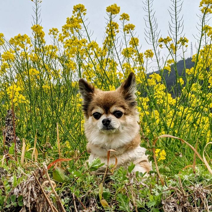 F04b1dd5 c4db 4db4 bee4 f270f7472fde 1615096241805