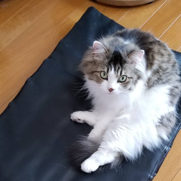 F04b253f 7fab 41d3 b66b 513f09fe5ede 1557014357315