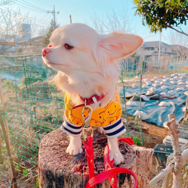 F04b2886 9c64 4db7 bad5 469d5445ca02 1643196169576