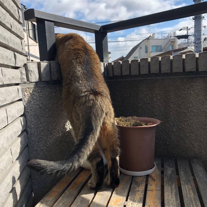 F04b3111 9c7a 4d18 9321 192abd4174a6 1612625867607