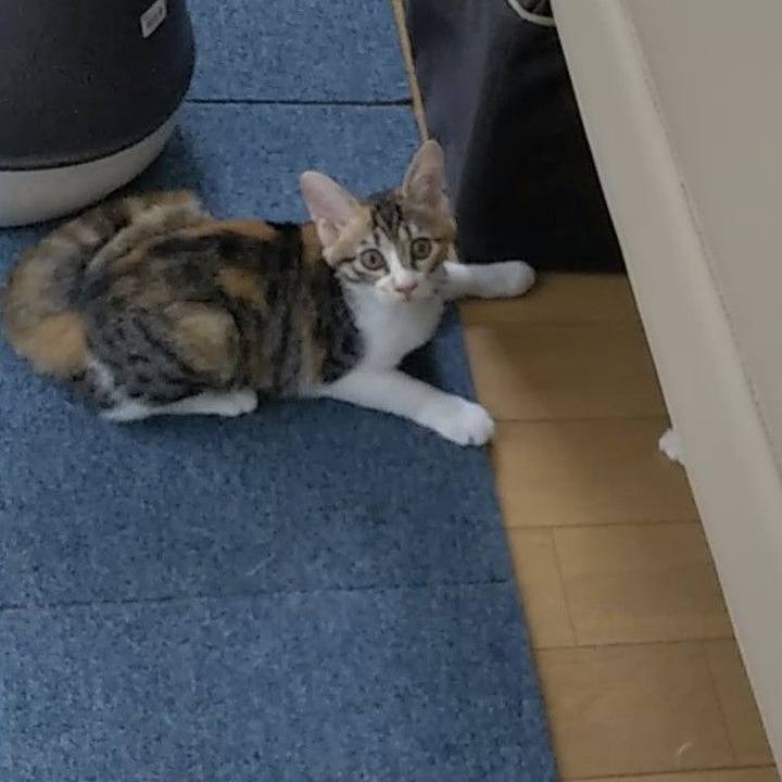 F04b3b42 9c80 44a6 9420 0bc4ead29cff 1628891243654