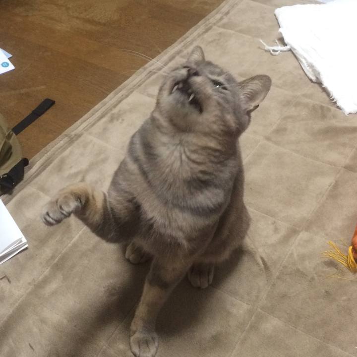 F04b4966 1f2e 4f7e 9641 c5772df066bd 1509542055435