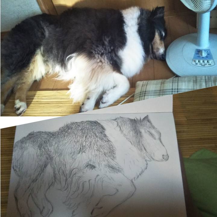 F04b6a7c 6904 492d b706 d15cae7aea3f 1597149420850