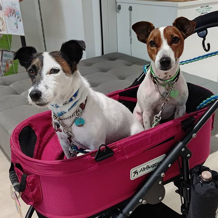 F04bc7ec 5c1f 4750 880e 5bb6790ea21f 1634955947826