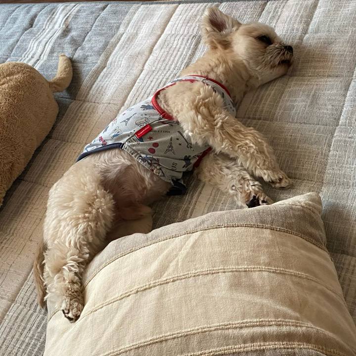 F04bcf34 4627 44f7 a51f 7d9879b6b8f4 1745669054548