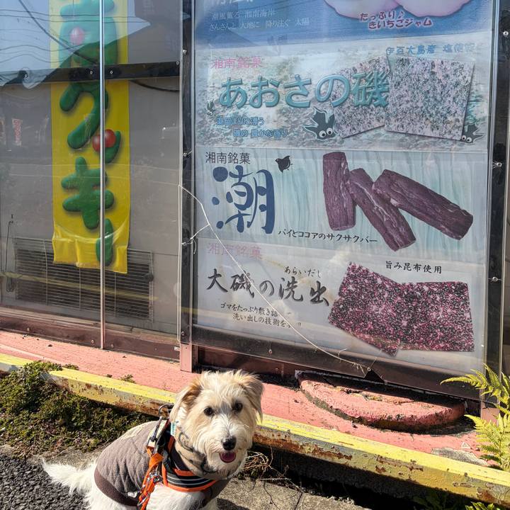 F04c08ce 5896 4ddb a09e eea319275a43 1767072669135