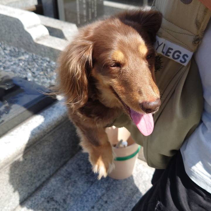 F04c3611 034d 4de7 8c9b e017385bb4a8 1727067265455