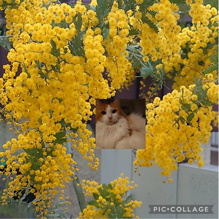 F04c4b30 fb30 4ac9 8152 bb3651711201 1646732908970