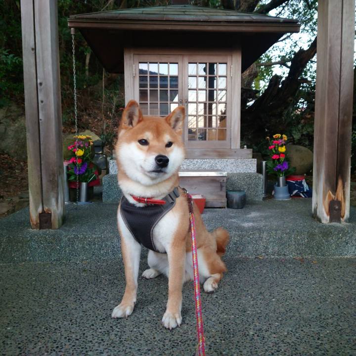 F04c6070 d9a3 43bc 9086 af2932805239 1769828796377