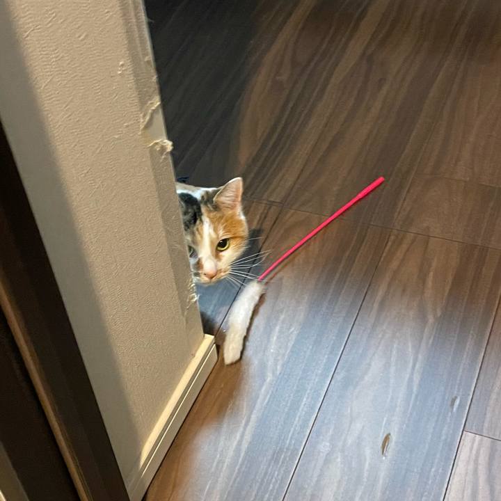 F04c759e 231c 480f b5cd ec5623420e13 1672112814355