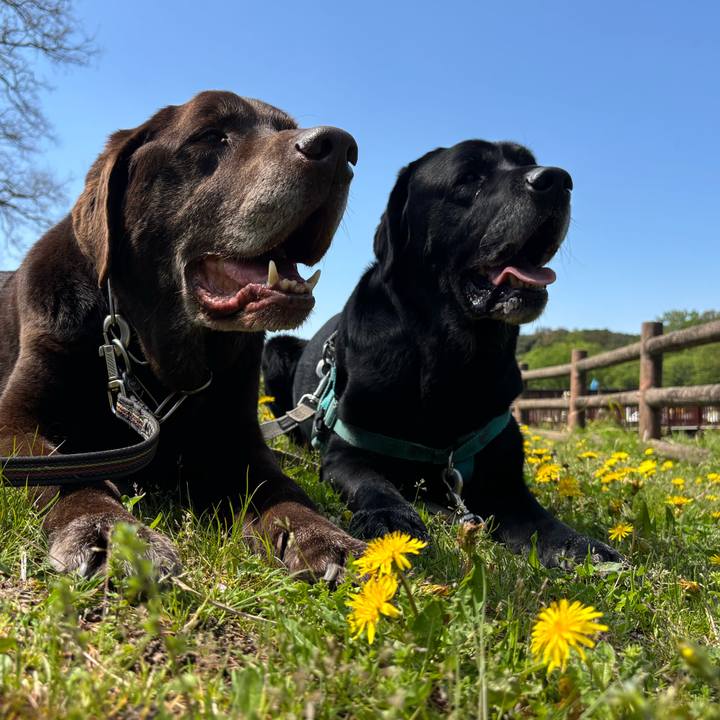 F04cad21 4e83 42c6 b123 b7579810e262 1776085190698