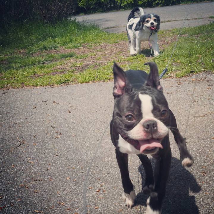 F04cadd1 921a 4ea4 9d21 68ff5f1ef7fe 1522465423405