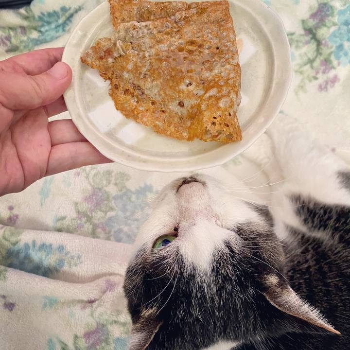 F04cd0c6 1d75 4fff b25c aaa55a60b306 1607149933396