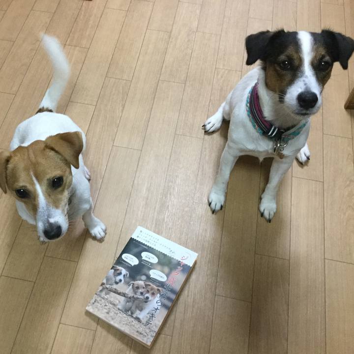 F04cd64a 2412 40e1 8772 6b5f00b8b490 1508039906757