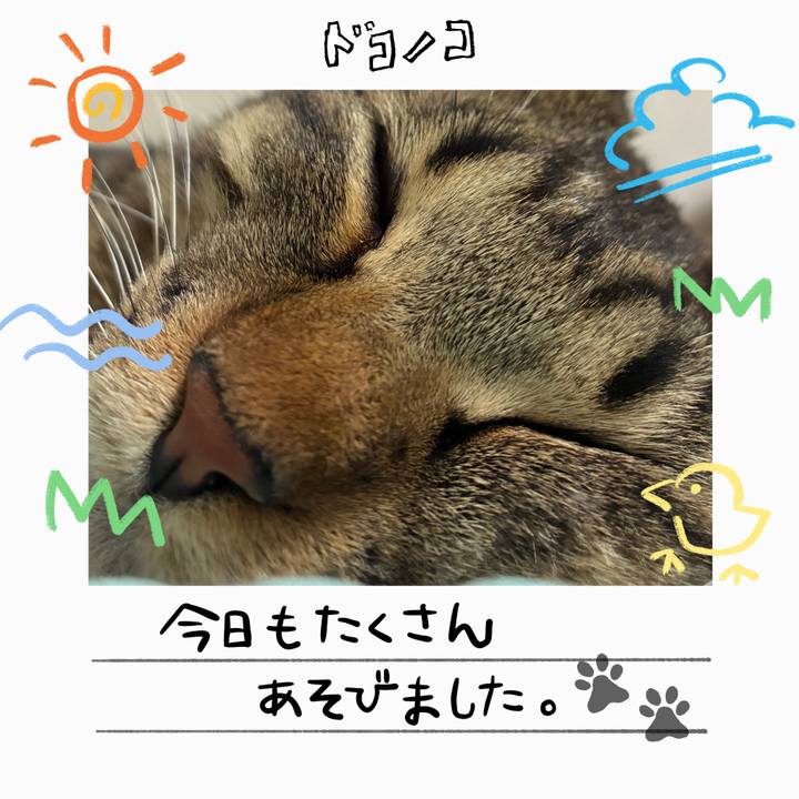 F04cdba1 9465 4210 b8c1 df3f4fc26db6 1755066912742