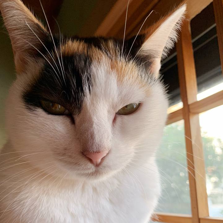 F04cfb8e 4115 495d 90cd 5981ceecdf3d 1542678442323