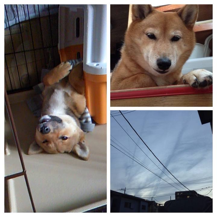 F04d0715 f679 45e3 b99e 678e0f189e13 1524735812302