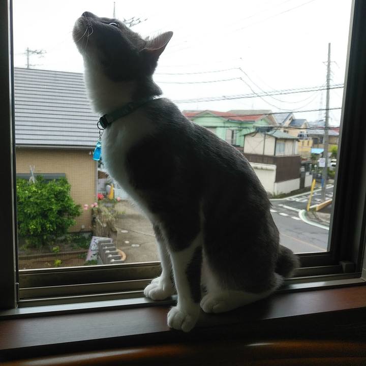 F04d2be0 cf9b 47ed b962 8d71a7cfce36 1591052810371