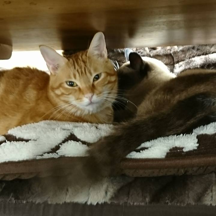 F04d3bde de09 4c91 98d4 ae6fff8f593d 1508194933362