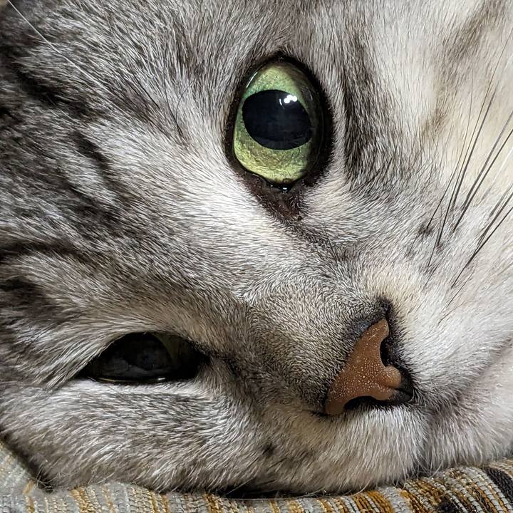 F04d4027 8ab4 4437 8b59 e8977353256f 1700748395968