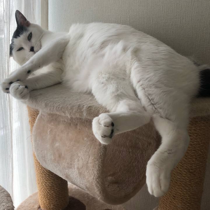 F04d6748 2e2a 435a b057 a301e3bf9d9f 1568676764048