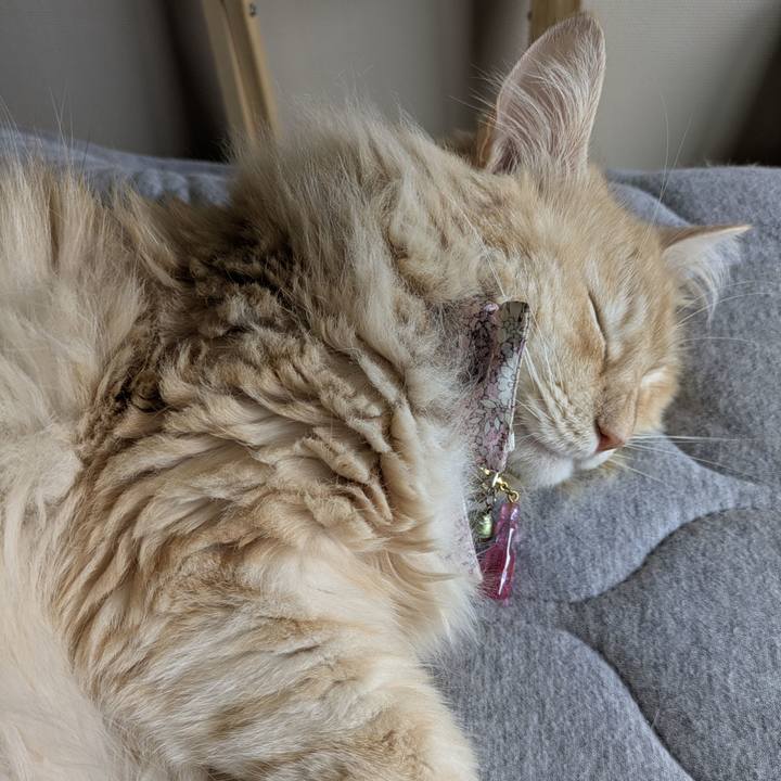 F04daa47 a4b2 414e b0cb f2d311759675 1757725656595