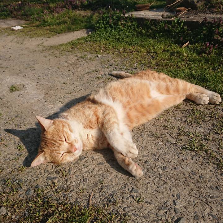 F04db640 b360 4b65 8b4d c84aa531388a 1585982149270