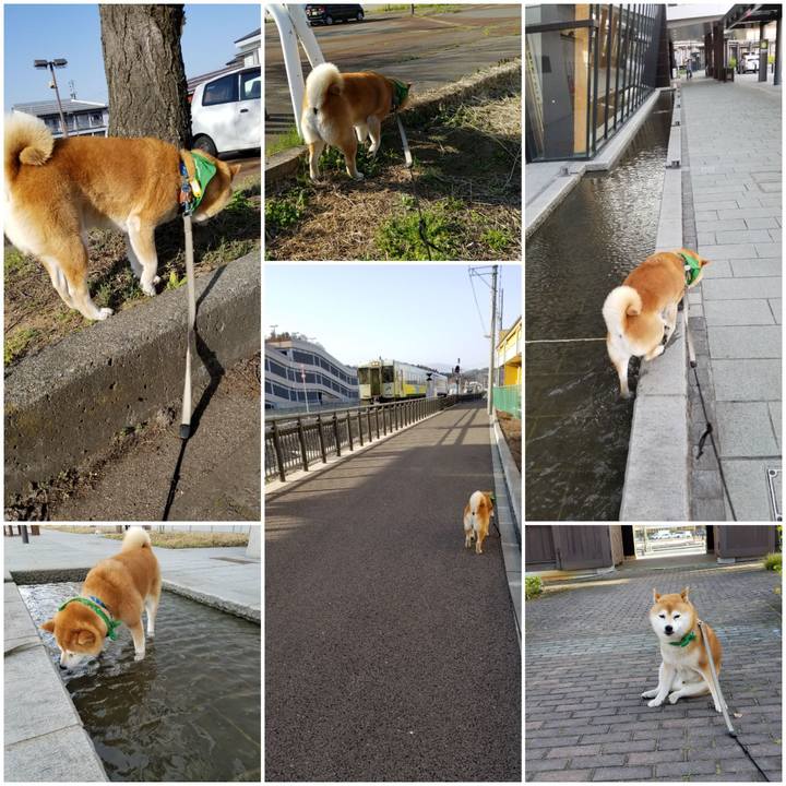 F04dcdfb 3fbb 4850 8a0b f7d46d64f571 1555919696187