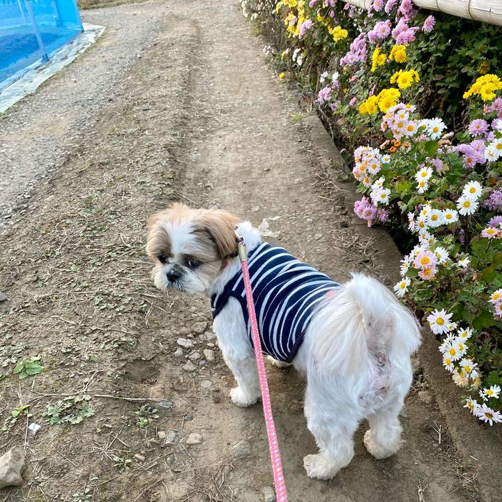 F04dd37a bb88 41de bc32 404f0010513d 1605426995540