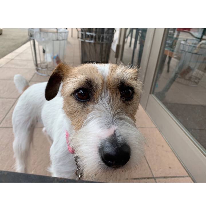 F04ddc86 779b 4e9b a84c de2b0e02e6f8 1588509537358