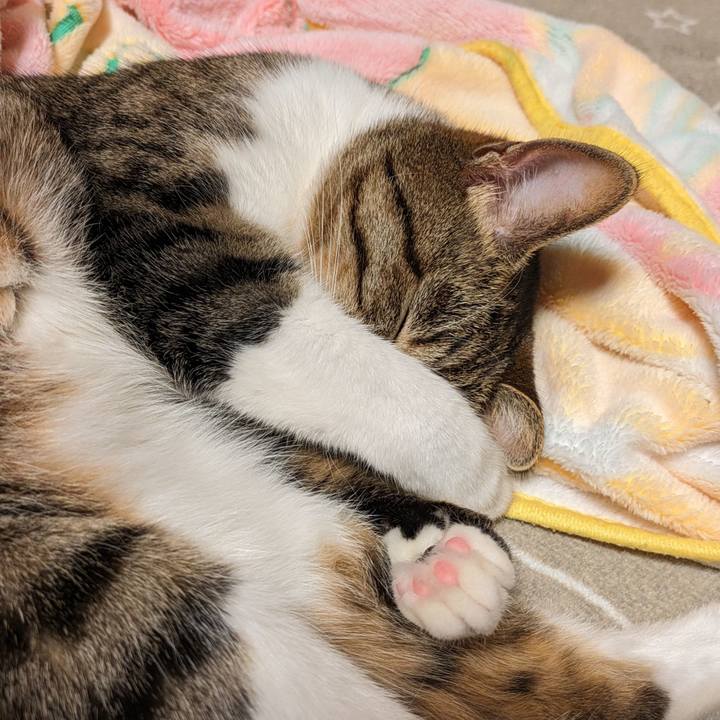 F04de78d 6bce 4576 95f9 7391a266d736 1704857424023