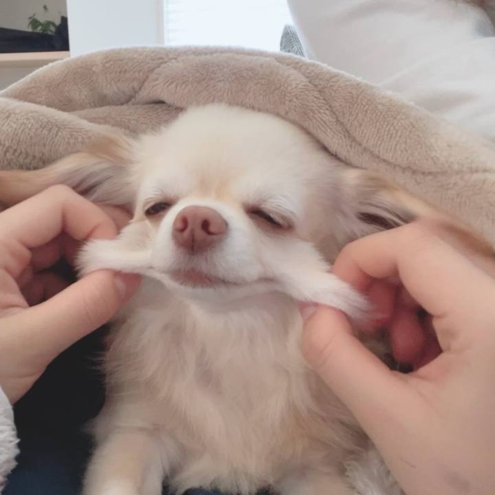 F04de89a 374a 429d 9ca4 185318dc057e 1709186418285