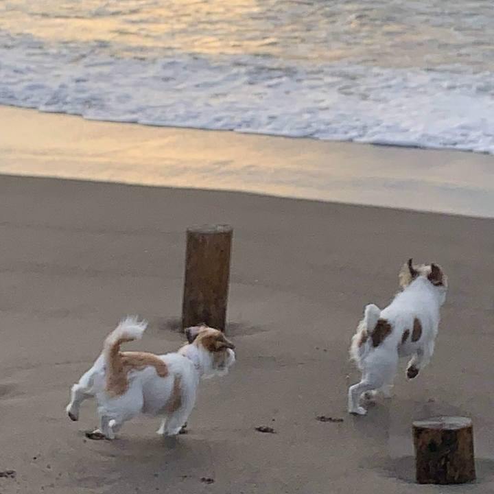 F04df8d4 1e45 47a5 9ae4 310f83e45f3f 1773929473237