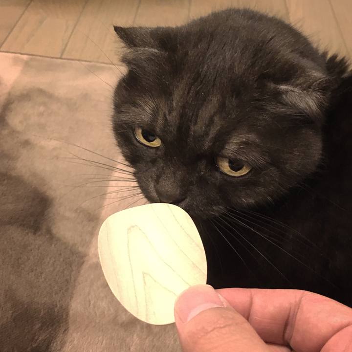 F04e1b91 8656 4d70 b102 28480600fee9 1584017296223