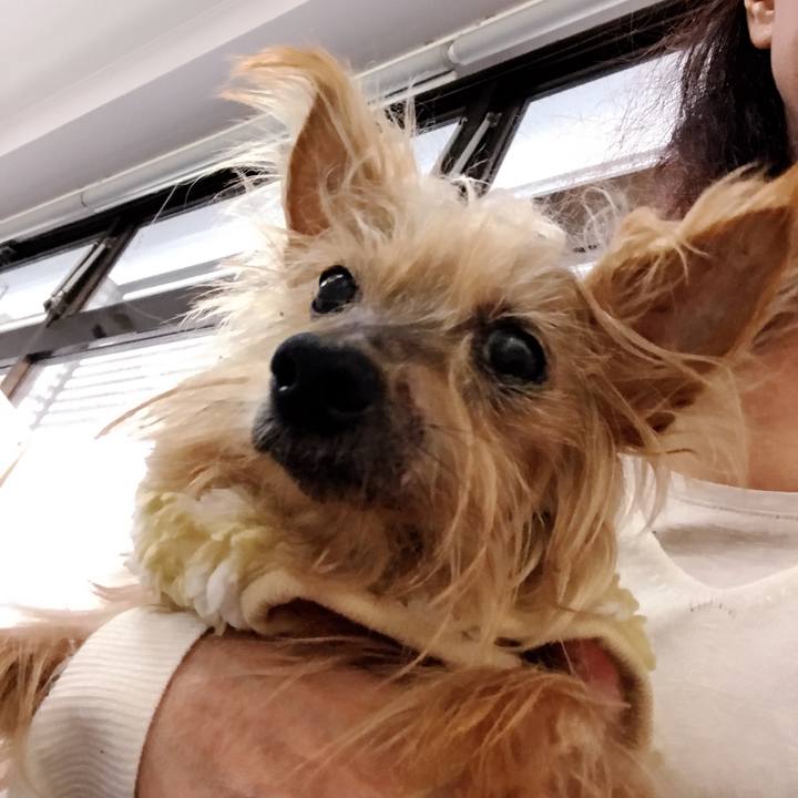 F04e1cb8 1126 4d0d a012 79ebb0eaa873 1543200529447