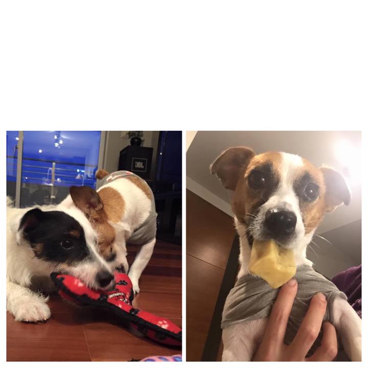 F04e23c2 7442 4534 9a2c fa60d94388ad 1630567725697