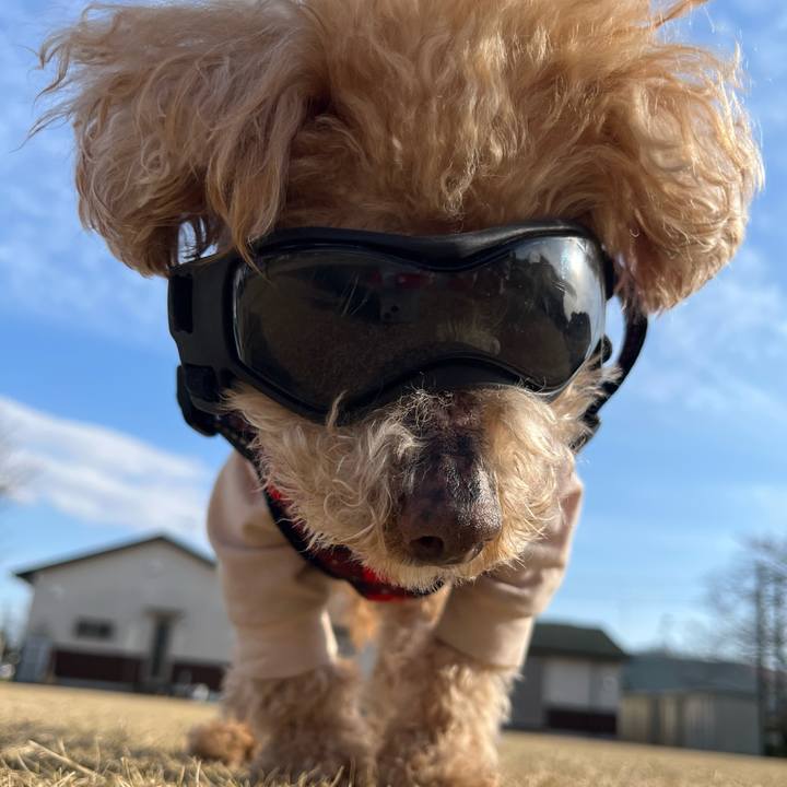 F04e2df7 29a1 4c33 bdff fdf79ec9aba2 1772872609344