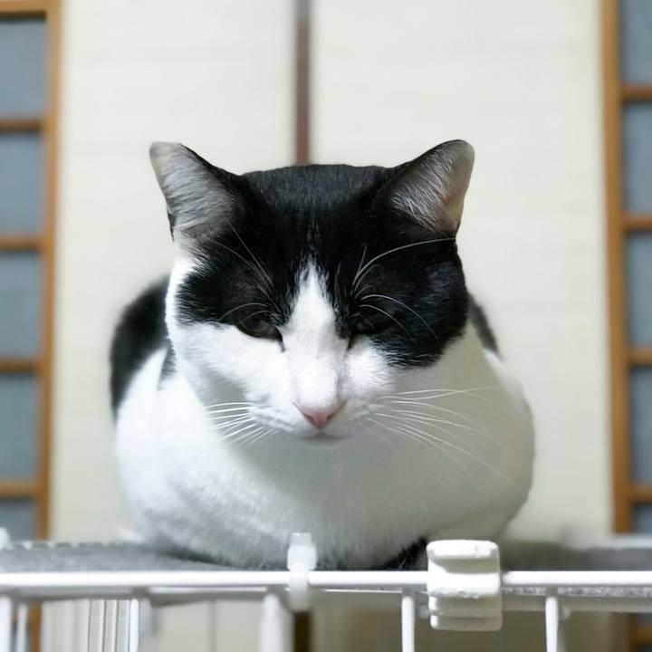 F04e408d c9ba 4103 a241 67ea1793e197 1512954451797