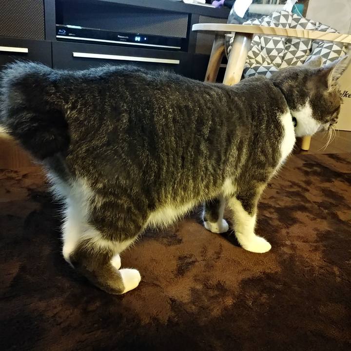 F04e4377 664d 4aca a44a d9b505c25795 1582675122369