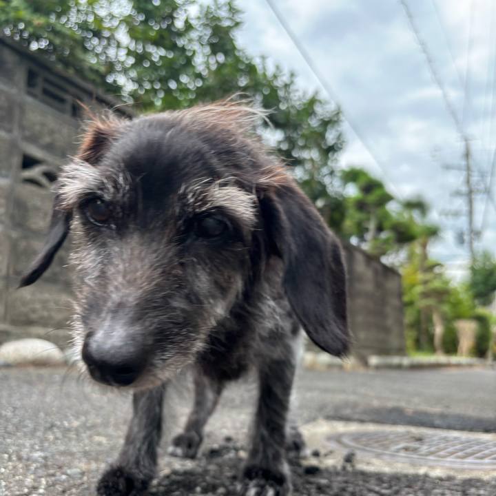 F04e67bc 25d3 492e 955c 20ca3b8e6893 1754522679454